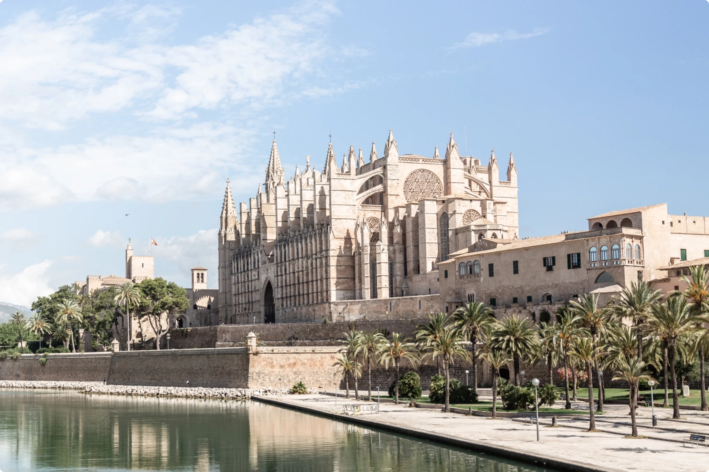 La catedral de La Seu en Palma de Mallorca con vistas al paseo marítimo, con palmeras, edificios históricos de piedra y aguas tranquilas bajo un cielo azul.